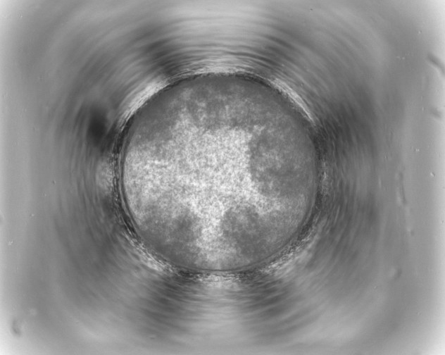 X0000093720874200710301022