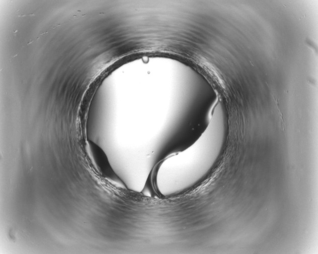 X0000093720876200710301022