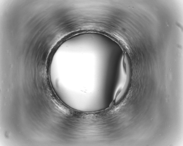 X0000093720880200710301022