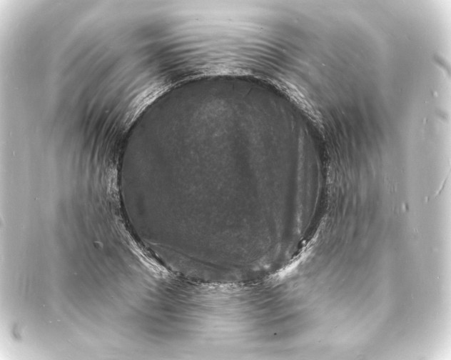 X0000093720881200710301022