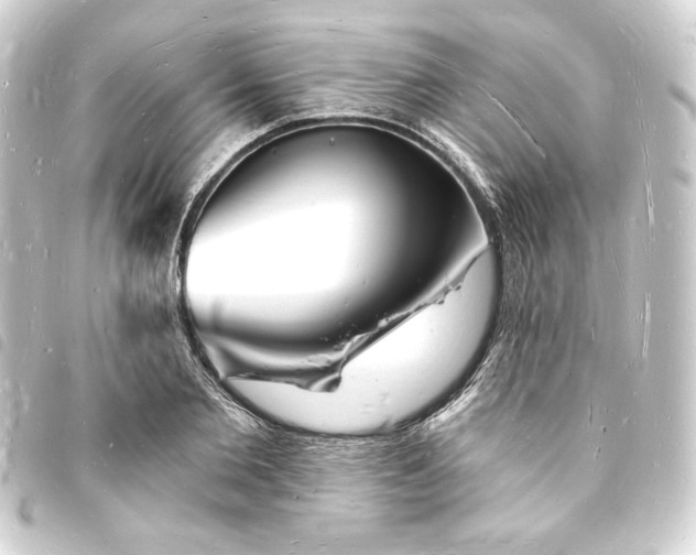 X0000093720885200710301022