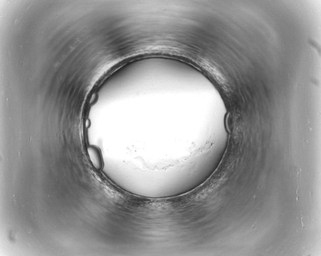 X0000093720888200710301022
