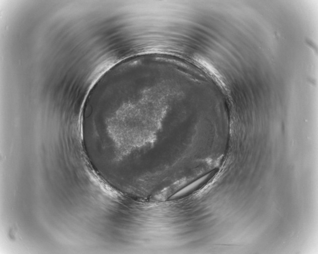 X0000093720892200710301022