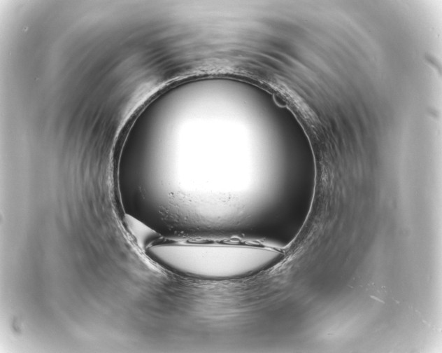 X0000093720894200710301022