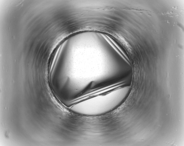 X0000093720896200710301022