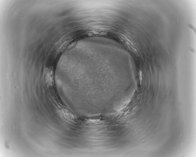 X0000093720915200710301021