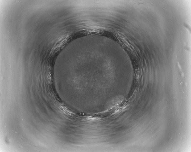 X0000093720916200710301021