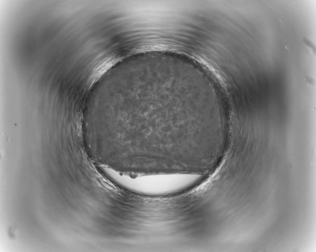 X0000093720921200710301021