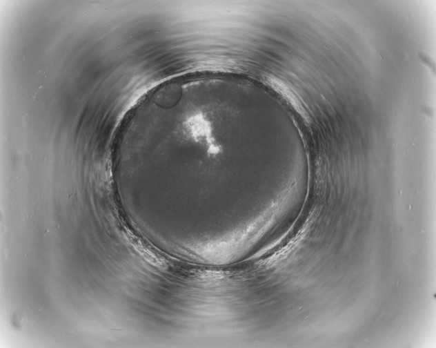 X0000093720923200710301021