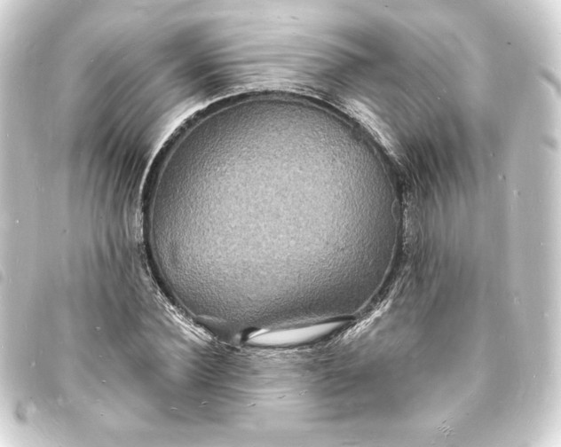X0000093720924200710301021
