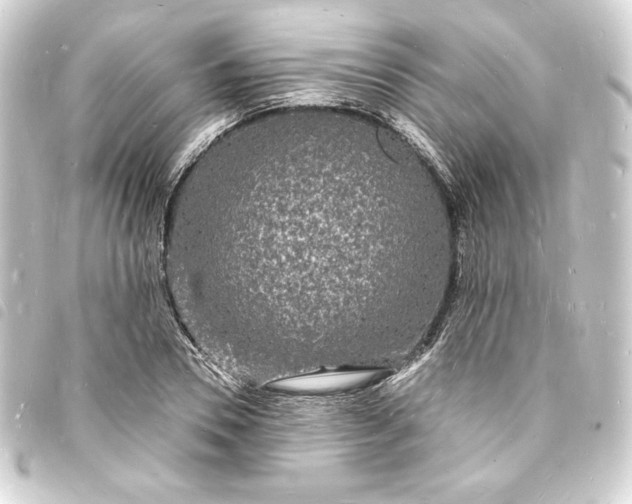 X0000093720930200710301021