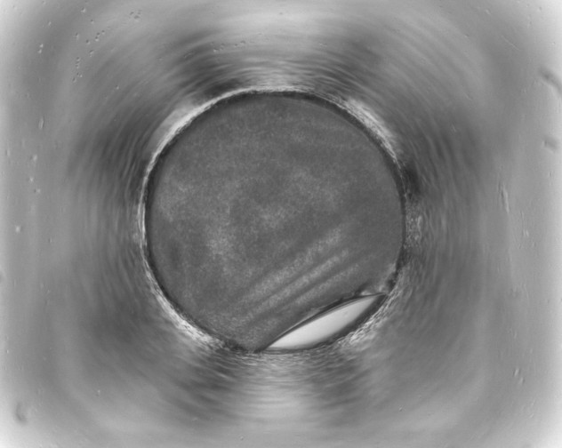 X0000093720935200710301021
