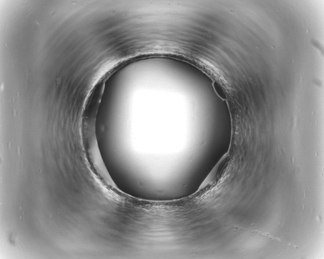 X0000093720942200710301021