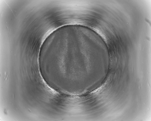 X0000093720943200710301021