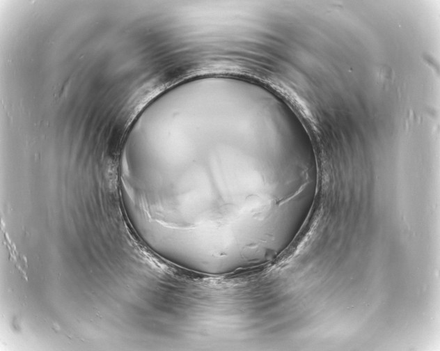 X0000093720945200710301021