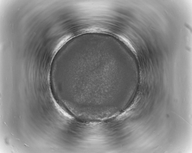 X0000093720946200710301021