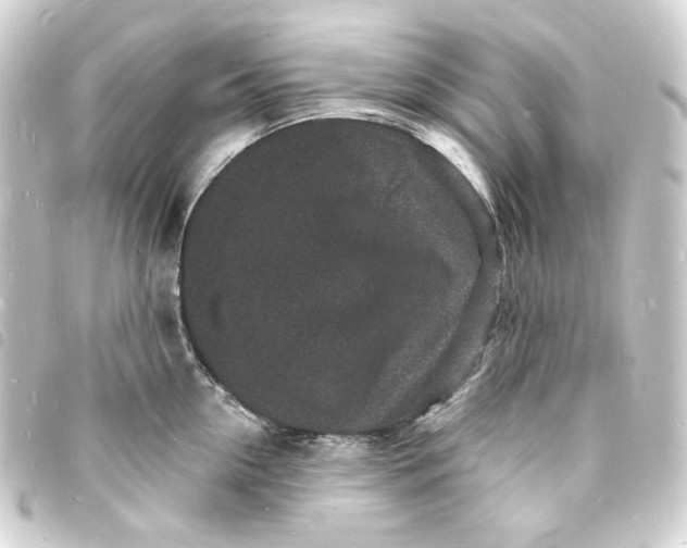 X0000093720954200710301021
