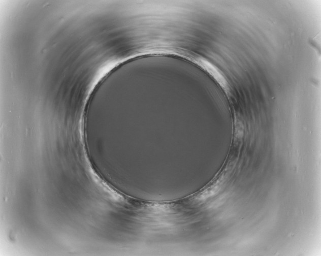 X0000093720958200710301021