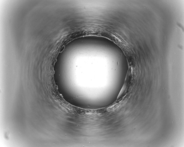 X0000093720961200710301021