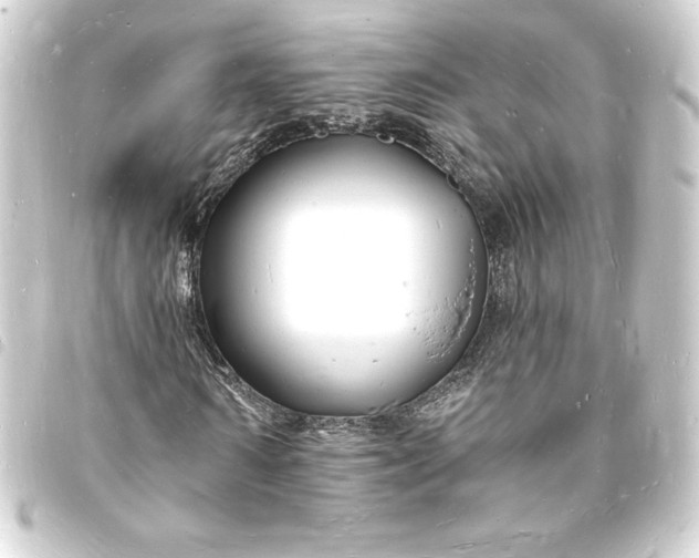 X0000093720962200710301021