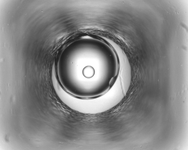 X0000093720965200710301021