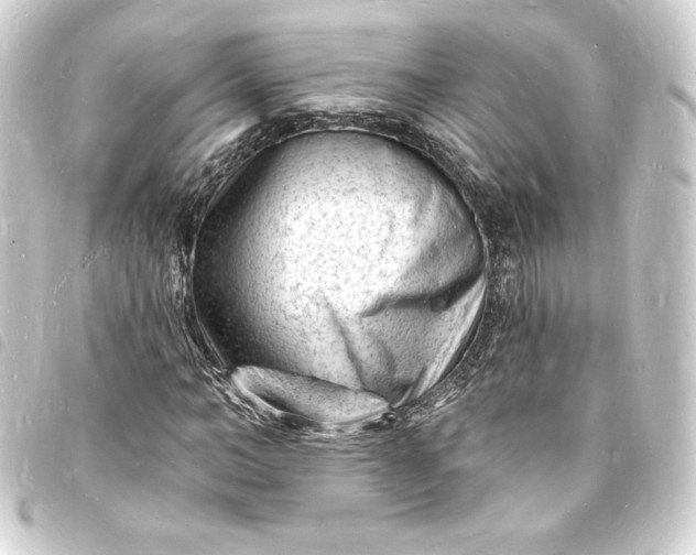 X0000093720966200710301021