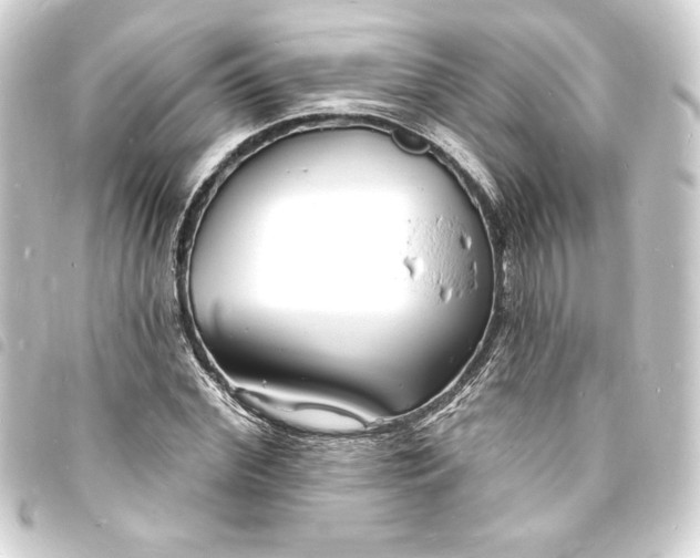 X0000093720972200710301021