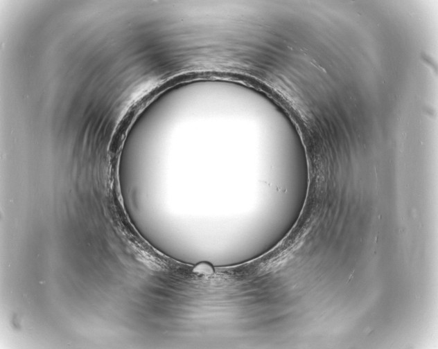X0000093720974200710301021