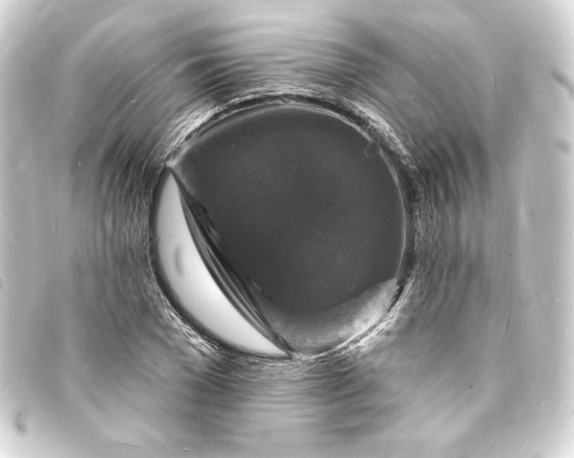 X0000093720977200710301020