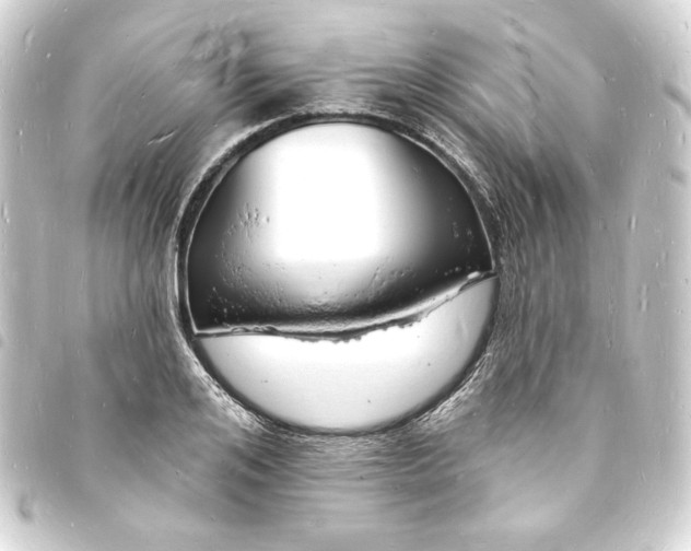 X0000093720984200710301020