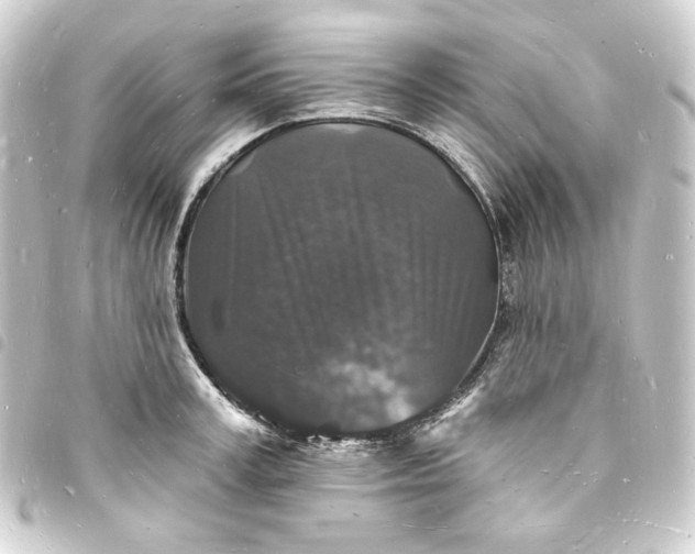 X0000093720995200710301020