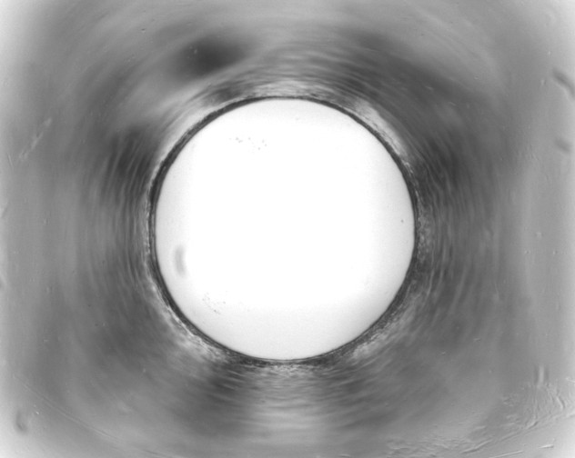 X0000093721000200710301020