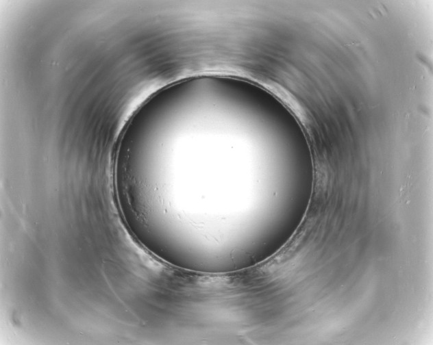 X0000093721006200710301020