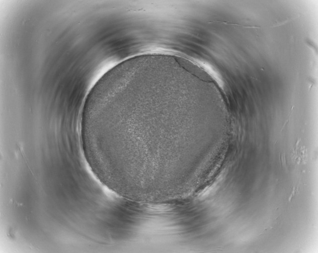X0000093721007200710301020