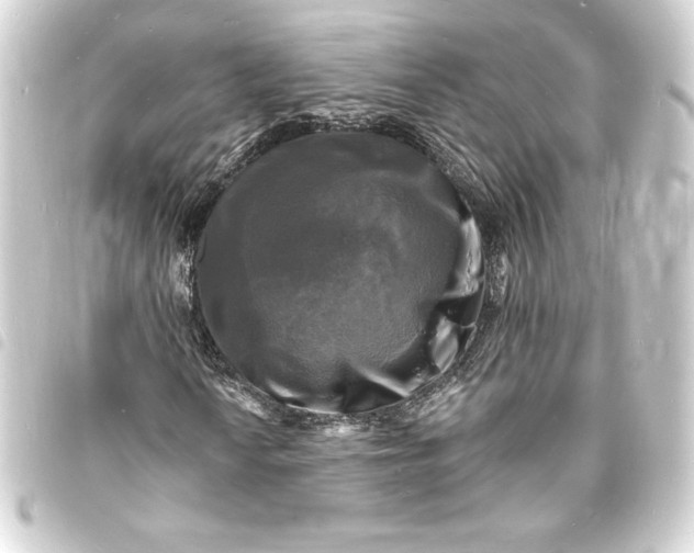 X0000093721010200710301020