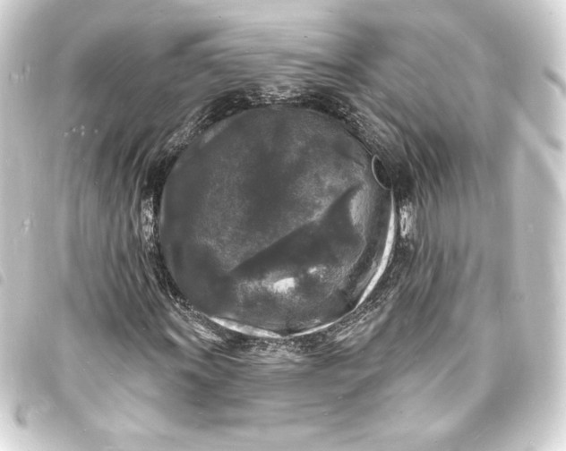 X0000093721011200710301020