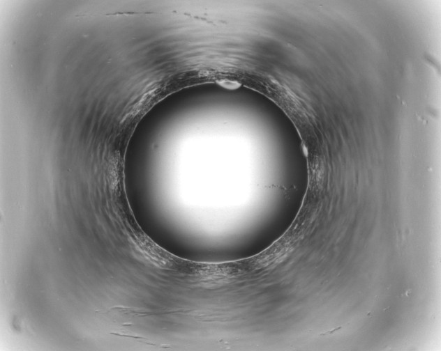 X0000093721012200710301020