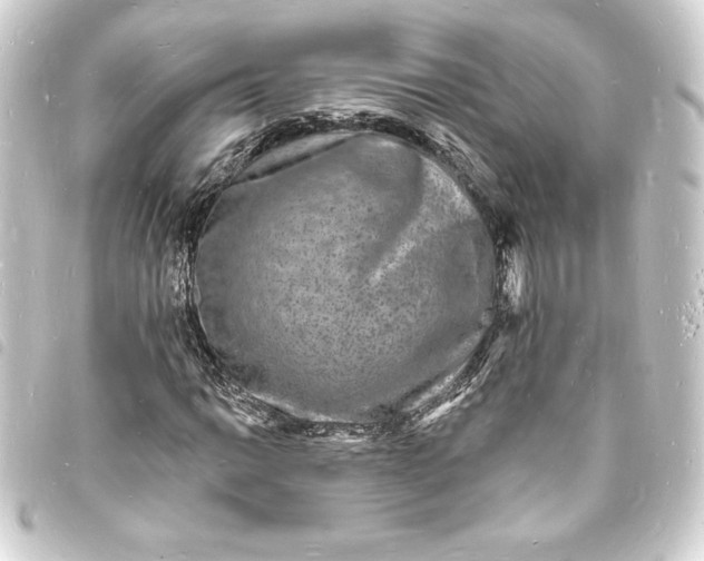 X0000093721014200710301020