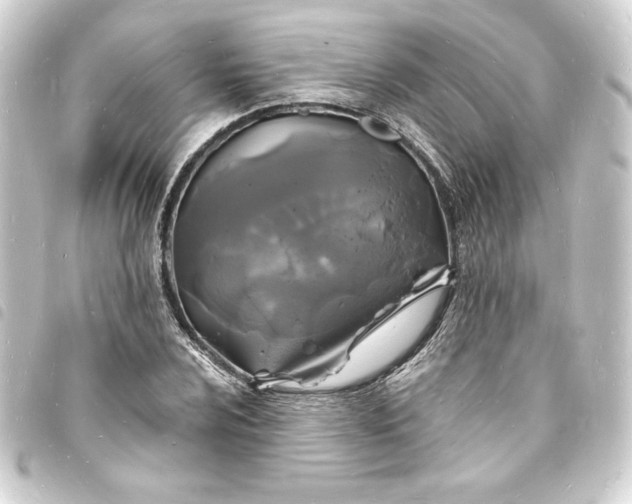 X0000093721024200710301020