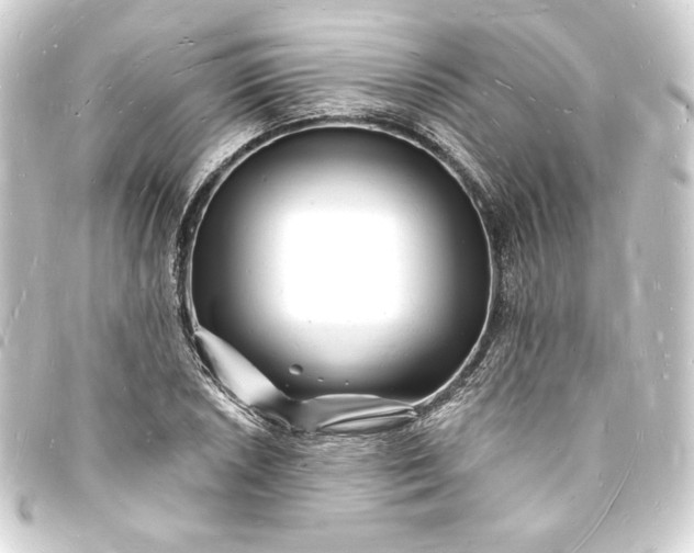 X0000093721026200710301020