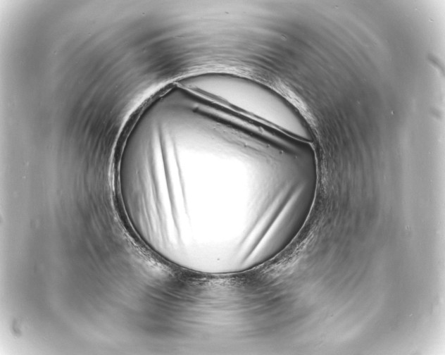 X0000093721028200710301020