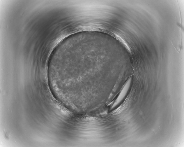 X0000093721035200710301020