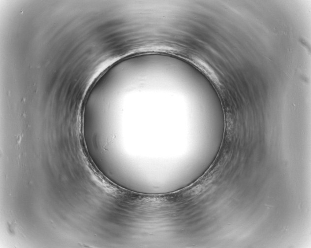 X0000093721044200710301020