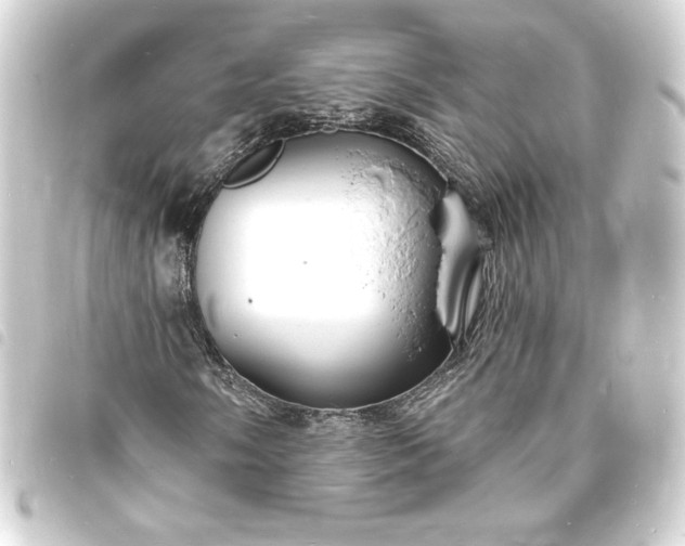 X0000093721058200710301020