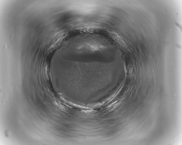 X0000093721060200710301019