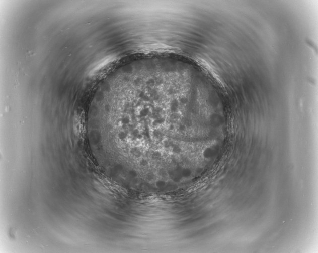 X0000093721063200710301019