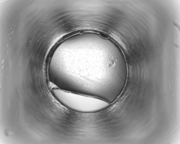 X0000093721068200710301019