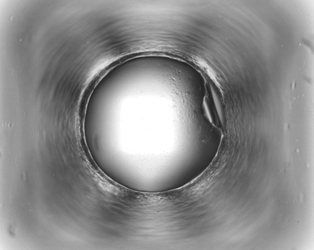 X0000093721072200710301019