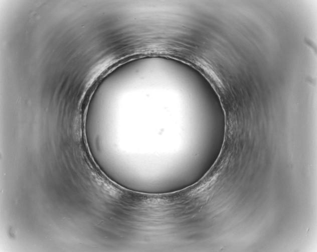 X0000093721075200710301019