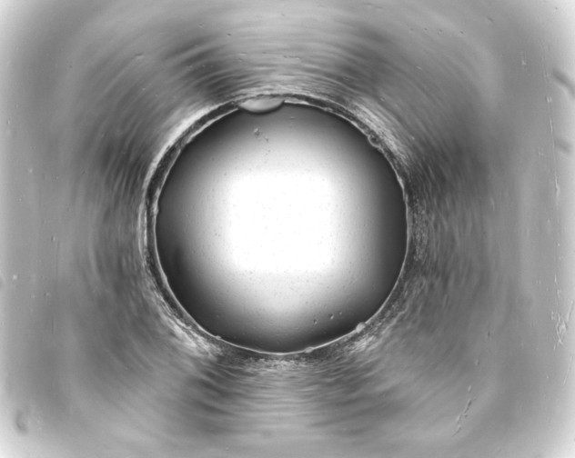 X0000093721076200710301019